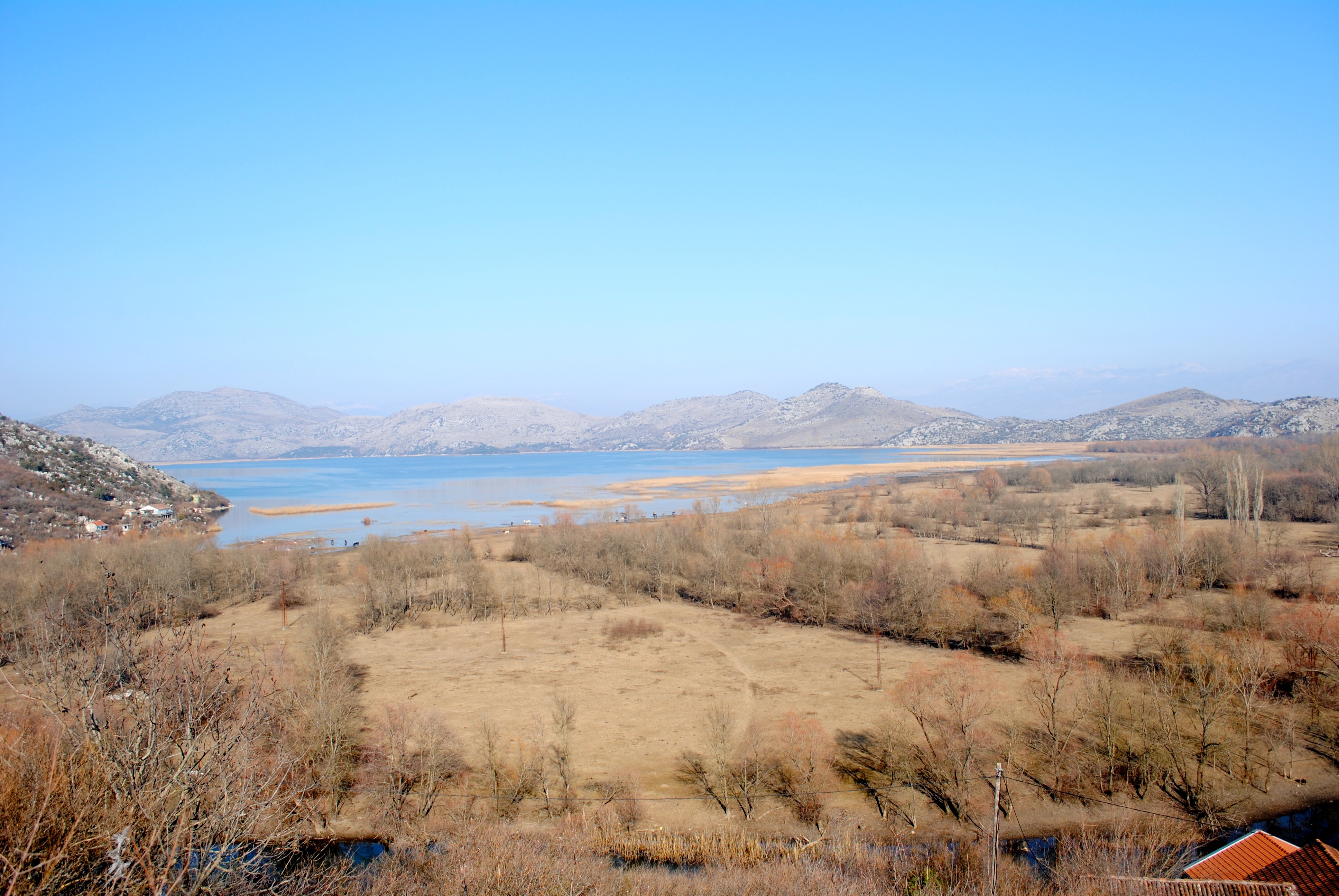 Skadar Lake