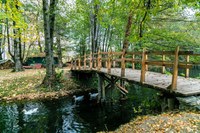 Lake Ohrid: the new member of the Ramsar family of Wetlands of International Importance